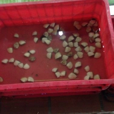 Tổng hợp- Quán Ăn Lộ Thiên Quán - Hải Sản Tươi Sống