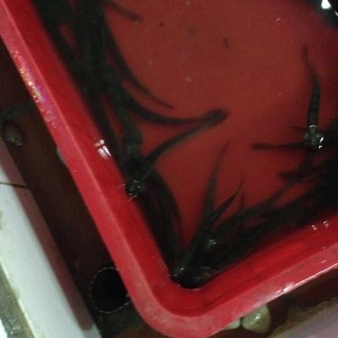 Tổng hợp- Quán Ăn Lộ Thiên Quán - Hải Sản Tươi Sống