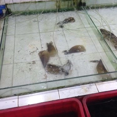 Tổng hợp- Quán Ăn Lộ Thiên Quán - Hải Sản Tươi Sống