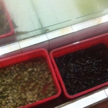 Tổng hợp- Quán Ăn Lộ Thiên Quán - Hải Sản Tươi Sống