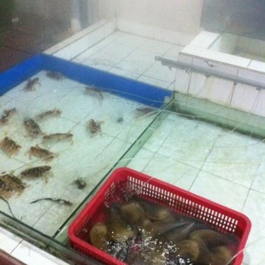 Tổng hợp- Quán Ăn Lộ Thiên Quán - Hải Sản Tươi Sống