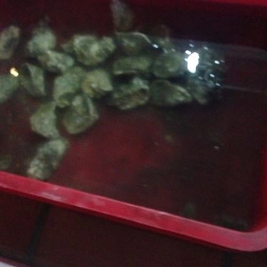 Tổng hợp- Quán Ăn Lộ Thiên Quán - Hải Sản Tươi Sống
