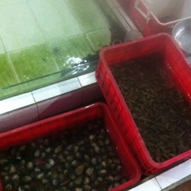 Tổng hợp- Quán Ăn Lộ Thiên Quán - Hải Sản Tươi Sống