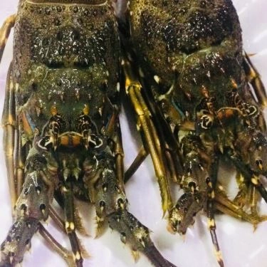 Tổng hợp- Quán Ăn Lobster - Tôm Hùm Ngon - Đỗ Đức Dục