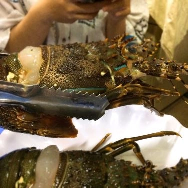 Tổng hợp- Quán Ăn Lobster - Tôm Hùm Ngon - Đỗ Đức Dục