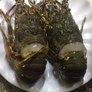 Tổng hợp- Quán Ăn Lobster - Tôm Hùm Ngon - Đỗ Đức Dục