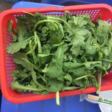 Món ăn- Quán Ăn Lòng Chần Cháo