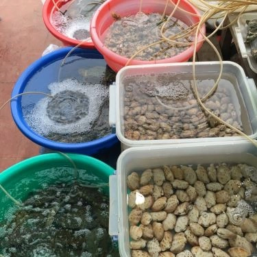 Tổng hợp- Quán Ăn Long Vũ - Quán Ốc & Hải Sản Nha Trang