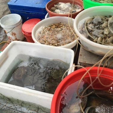 Tổng hợp- Quán Ăn Long Vũ - Quán Ốc & Hải Sản Nha Trang