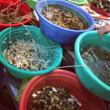 Tổng hợp- Quán Ăn Long Vũ - Quán Ốc & Hải Sản Nha Trang
