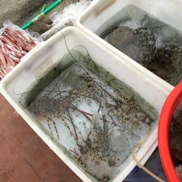 Tổng hợp- Quán Ăn Long Vũ - Quán Ốc & Hải Sản Nha Trang