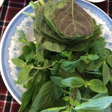 Tổng hợp- Quán Ăn Lương Gia Quán - Heo Tộc