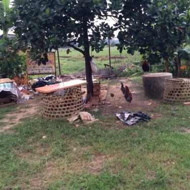Tổng hợp- Quán Ăn Mái Lá Quán - Phan Văn Đối