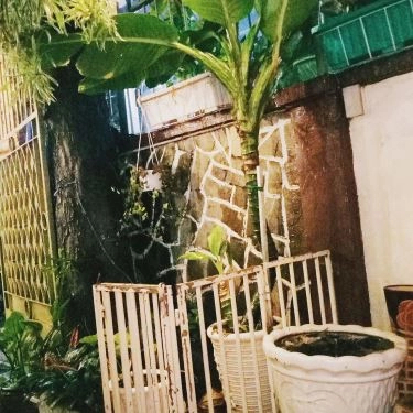 Tổng hợp- Mây Bốn Phương - Quán Ăn Á & Âu