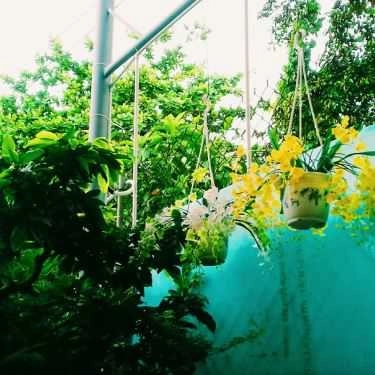 Tổng hợp- Quán Ăn Mây - Điểm Tâm & Ăn Vặt