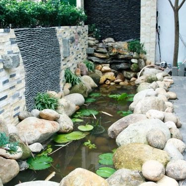 Tổng hợp- Nhà Hàng Mây Restaurant - Món Việt