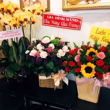 Tổng hợp- Quán Ăn Bánh Canh Cua Mẹ Pu