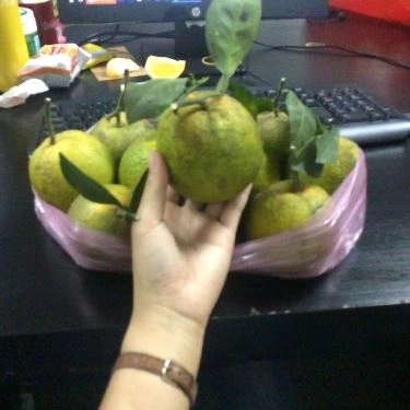 Tổng hợp- Quán Ăn Mèo Lười Shop - Đặc sản Trái Cây Phủ Quỳ Nghệ An