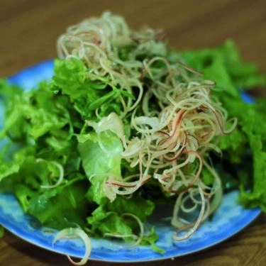 Tổng hợp- Quán Ăn Mì Gà Thủy Chung