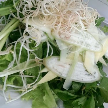 Tổng hợp- Quán Ăn Mì Quảng Bà Mua - Đặng Dung
