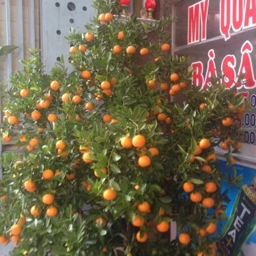 Tổng hợp- Quán Ăn Mì Quảng Bà Sâm - Phạm Cự Lượng