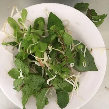 Tổng hợp- Quán Ăn Mì Quảng Chính Hiệu