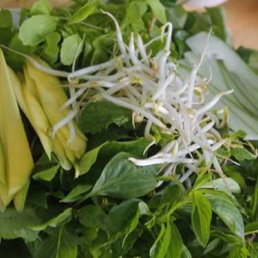 Tổng hợp- Quán Ăn Mì Quảng Cô Ba