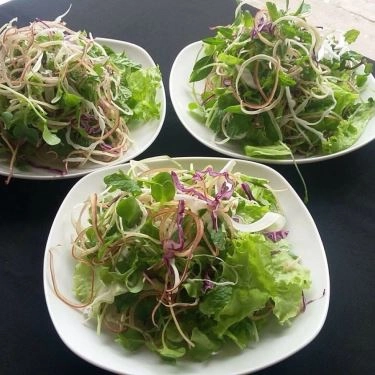 Tổng hợp- Quán Ăn Mì Quảng Gà Quê Tam Kỳ