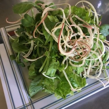 Tổng hợp- Quán Ăn Mì Quảng Nguyên - Ngô Thì Nhậm