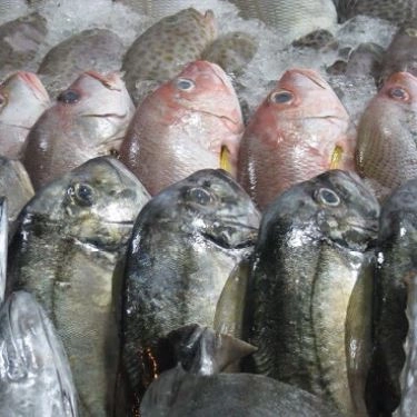 Tổng hợp- Quán Ăn Mì Quảng Phú Hương