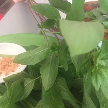 Tổng hợp- Quán Ăn Mì Vịt Tiềm Chí Phát - Nguyễn Văn Nghi