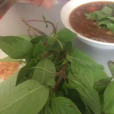 Tổng hợp- Quán Ăn Mì Vịt Tiềm Chí Phát - Nguyễn Văn Nghi