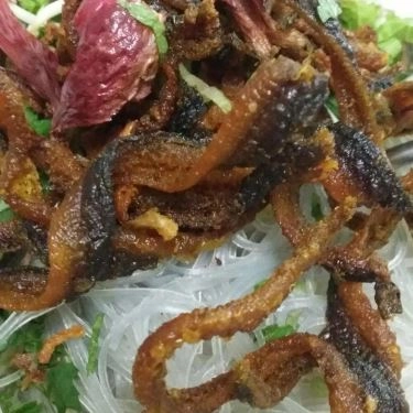 Món ăn- Quán Ăn Miến Lươn Gia Bảo