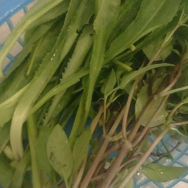 Tổng hợp- Quán Ăn Minh Hải - Bún Bò Cay