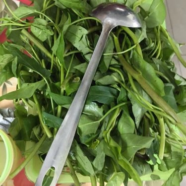 Món ăn- Quán Ăn Minh Phương - Vịt Cỏ Vân Đình