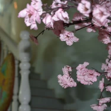 Tổng hợp- Quán Ăn Vua Thỏ Mẹt - Thịt Thỏ, Gà Đồi, Cá Sông & Ba Ba