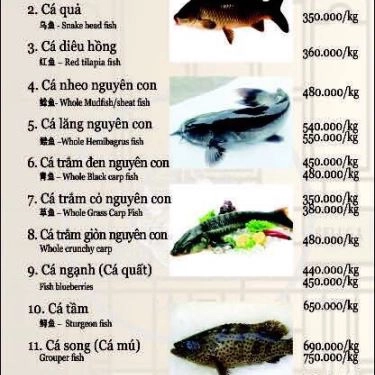 Tổng hợp- Quán Ăn Mix House - Cá Nồi Đá & Lẩu Sục