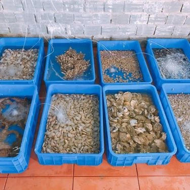 Tổng hợp- Quán Ăn Mỏ Lết Quán - Hải Sản Tươi Sống