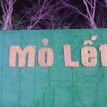 Tổng hợp- Quán Ăn Mỏ Lết Quán - Hải Sản Tươi Sống