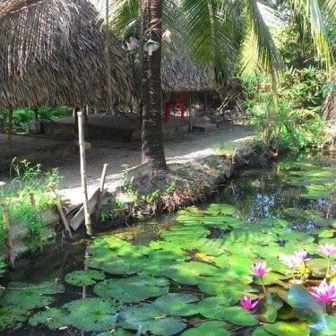 Tổng hợp- Mội Bà Quán - Quán Ăn Đồng Quê