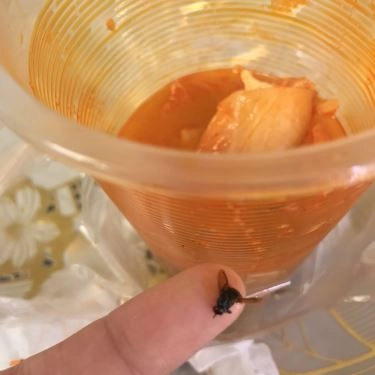 Tổng hợp- Quán Ăn Mokchang - Đồ Ăn Hàn Quốc