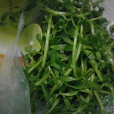 Món ăn- Quán Ăn MT - Bánh Canh Cá Lóc