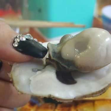 Tổng hợp- Quán Ăn Mỹ Đào - Hải Sản Tươi Sống