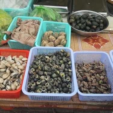 Tổng hợp- Quán Ăn Mỹ Đào - Hải Sản Tươi Sống