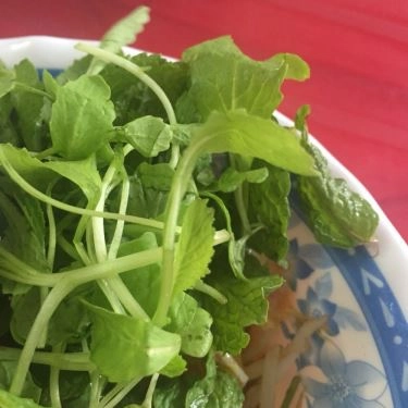 Tổng hợp- Quán Ăn Mì Quảng 85