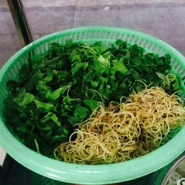 Tổng hợp- Quán Ăn Mì Quảng Thu Hà