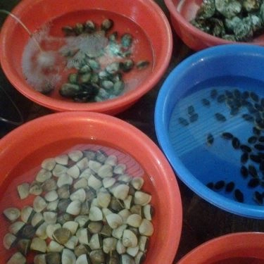 Tổng hợp- Quán Ăn Nam Béo - Quán Nhậu Hải Sản
