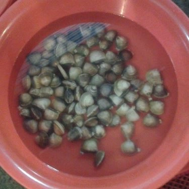 Tổng hợp- Quán Ăn Nam Béo - Quán Nhậu Hải Sản