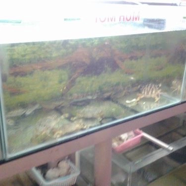 Tổng hợp- Quán Ăn Nam Béo - Quán Nhậu Hải Sản