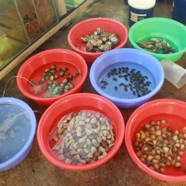 Tổng hợp- Quán Ăn Nam Béo - Quán Nhậu Hải Sản